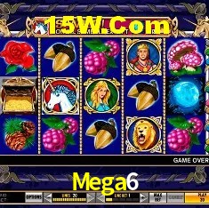 Experiência VIP Mega6